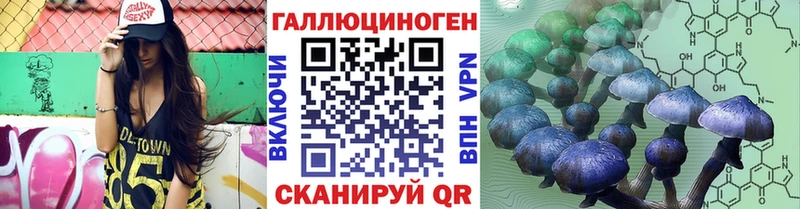 МЕГА зеркало  Киржач  Псилоцибиновые грибы MAGIC MUSHROOMS  купить наркотик 