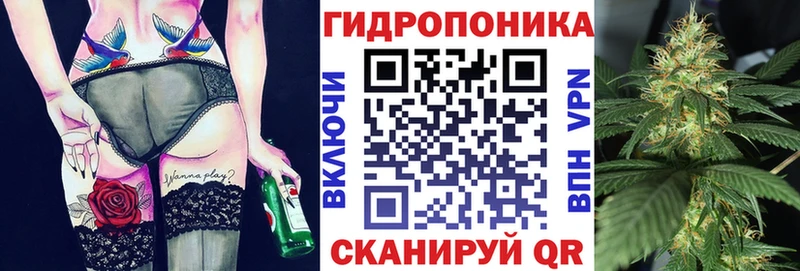 MEGA как войти  Киржач  Марихуана OG Kush 